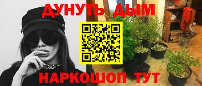 крисы Донской