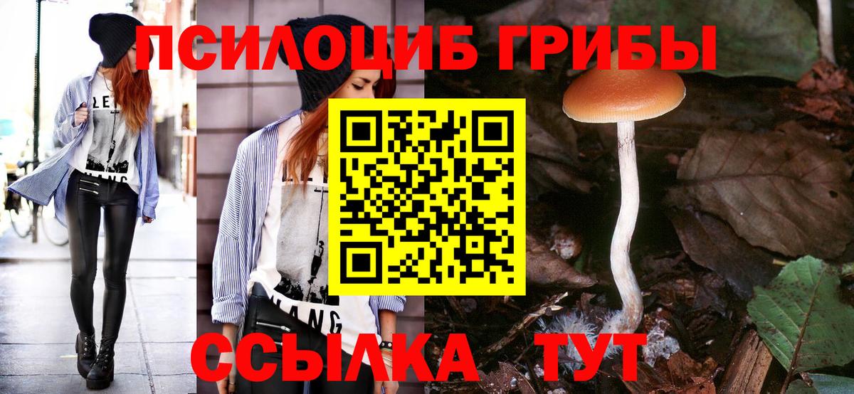 Галлюциногенные грибы прущие грибы  Вход с VPN  Арзамас 